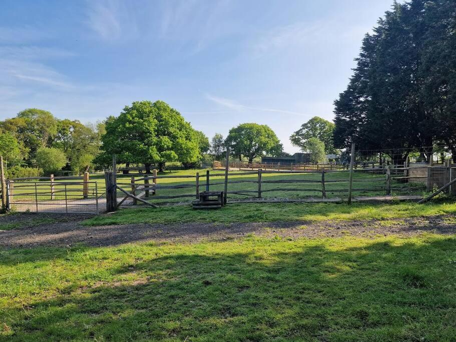 Appartement Country Retreat Near Sea And South Downs, On National Cycle Network à Polegate Extérieur photo