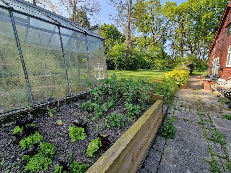 Appartement Country Retreat Near Sea And South Downs, On National Cycle Network à Polegate Extérieur photo